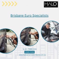 Seeking for the Top European Euro Experts in Brisbane