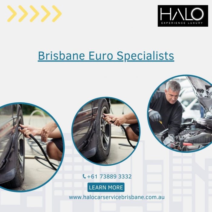 Seeking for the Top European Euro Experts in Brisbane