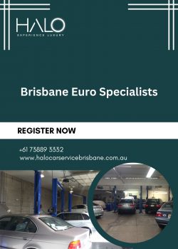 Get Premier Brisbane Euro Specialists Services