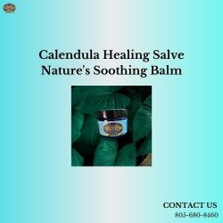 Calendula Healing Salve Nature’s Soothing Balm