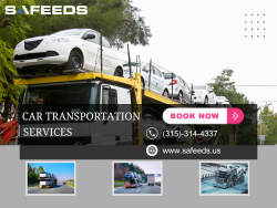 Safeeds Transport Inc: Your Premier Choice for Reliable Car Transport Across