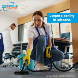 Revitalize Your Space: Carpet Cleaning in Brisbane