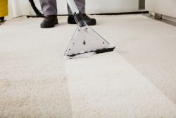 AgentsAdvise: Premier Bucks County Carpet Cleaning