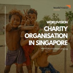 Empowering Hearts: The Charitable Spirit of Singapore