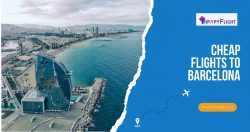 Cheap Flights To Barcelona | TrippyFlight