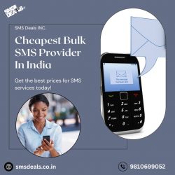 Cheapest Bulk SMS Provider In India