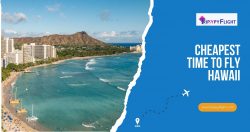 Cheapest time to fly Hawaii | TrippyFlight