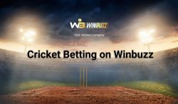 Winning Guide to Cricket Betting on Winbuzz