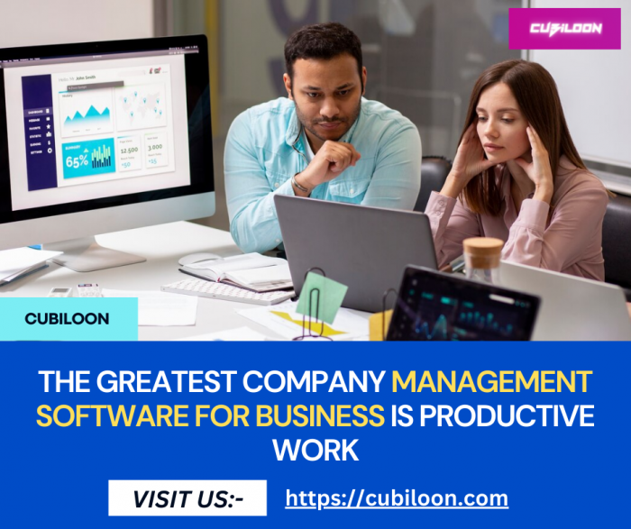 Elevate Your Business with Cubiloon’s Management Software for Business