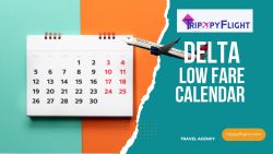 Delta Low Fare Calendar | Trippy Flight