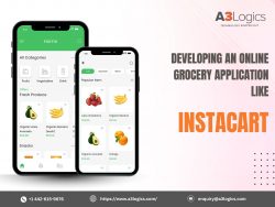 A Comprehensive Guide to Develop Instacart-Like Apps