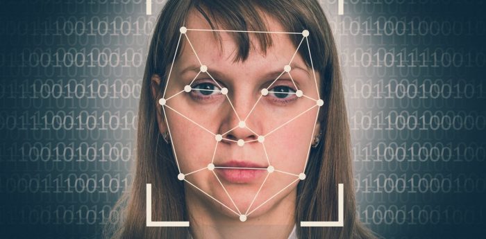 What Are the Potential Risks of Digital Face Interchange?