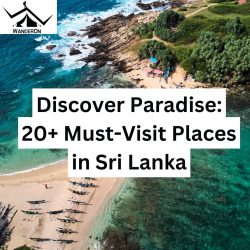 Discover Paradise: 20+ Must-Visit Places in Sri Lanka