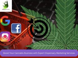 Boost Your Cannabis Business with Expert Dispensary Marketing Services