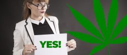 Dispensary Digital Marketing: Boost Your Cannabis Business Online