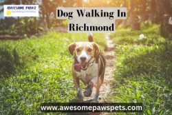 Awesome Pawz Pet Care: Premier Dog Walking in Richmond