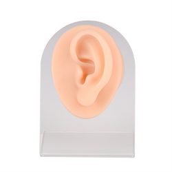 Ultrassist Practice Piercing Ear Silicone Model with Display Stand