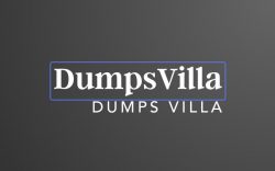 DumpsVilla Emporium: Where Carding Dreams Take Flight