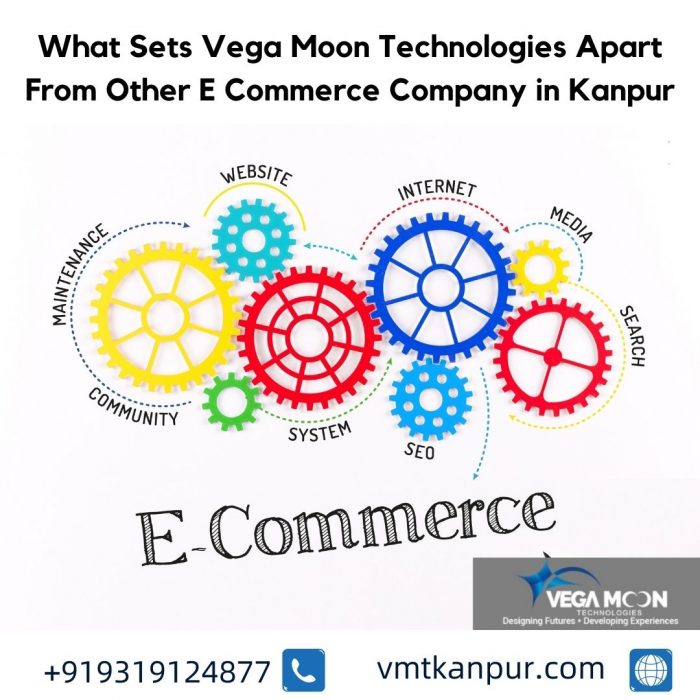 What Sets Vega Moon Technologies Apart From Other E Commerce Company in Kanpur