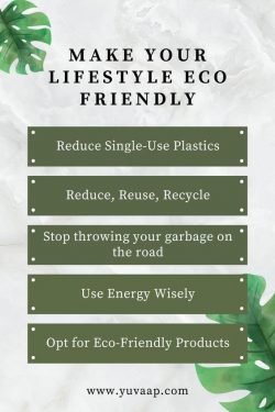 Eco-Friendly Living: Small Steps, Big Impact