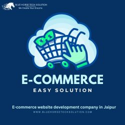 E-commerce website development company in Jaipur