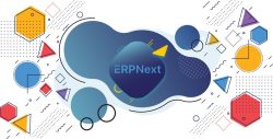 ERPNext Service Provider Organization & ERPNext partner