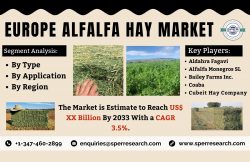 Europe Alfalfa Hay Market Trends 2024- Industry Share, Revenue, Growth Drivers, Business Challen ...
