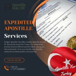 Expedited apostille services
