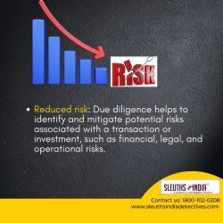 Expert Risk Management Agency: Ensuring Your Safety