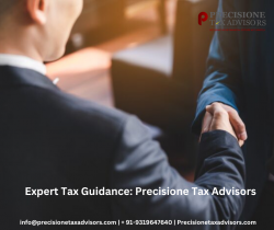 Expert Tax Guidance: Precisione Tax Advisors
