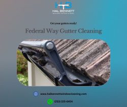 Keep Your Home Safe and Dry with Professional Federal Way Gutter Cleaning Services
