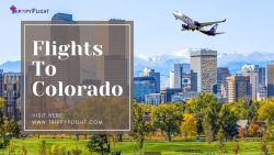 Flights To Colorado | Trippy Flight