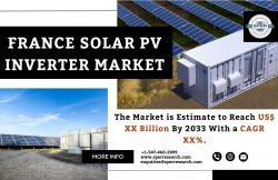 France Solar PV Inverter Market Share 2024- Industry Trends, Growth Strategy, CAGR Status, Busin ...