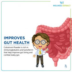 Gut Health Essentials: Foods to Optimize Your Digestive System