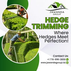 10 Signs That Show It’s Time To Need The Hedge Trimmer Services Surrey
