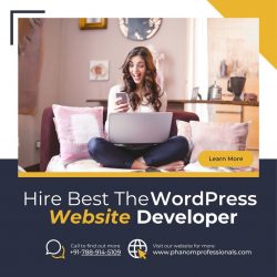 Hire the Best WordPress Website Developer to Build Your Dream Website