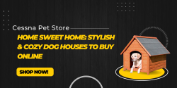 Home Sweet Home: Stylish & Cozy Dog Houses To Buy Online