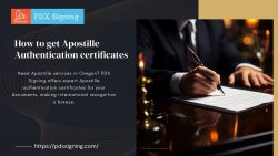 How to get Apostille Authentication certificates