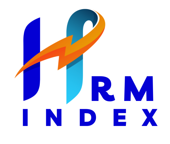 Revolutionize Your Web Presence: HRMIndex’s Expert Web Development Consultation!