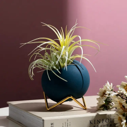 Browse Through Our Collection of High-Quality Indoor Pots