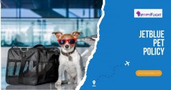 JetBlue pet policy | TrippyFlight