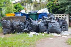 Say Goodbye to Junk: Sydney’s Ultimate Solution for Efficient Rubbish Removal