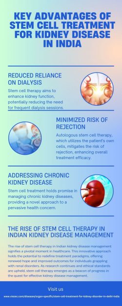 Key Advantages of Stem Cell Treatment for Kidney Disease in India