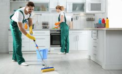 Maid Above: Crafting Clean, Refreshed Spaces