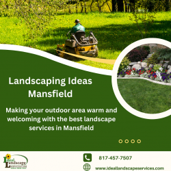 Landscape Services in Mansfield