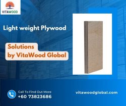 Lightweight Plywood by VitaWood Global