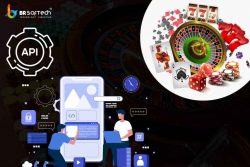 Casino Game Development Company with BR Softech