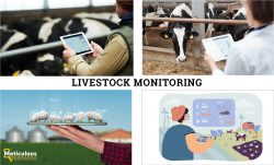 Unveils Projections: Livestock Monitoring Market to Surge to $3.6 Billion by 2030