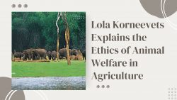 Lola Korneevets Explains the Ethics of Animal Welfare in Agriculture