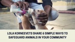 Lola korneevets Share 6 Simple Ways to Safeguard Animals in Your Community